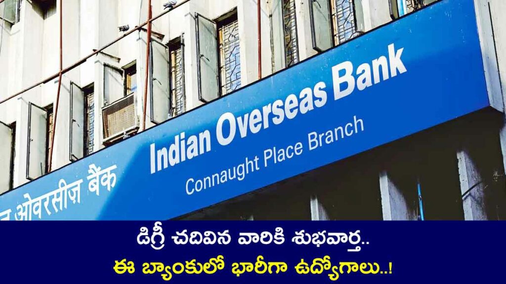 Indian Overseas Bank Apprentice Recruitment 2024 full details and how to apply 