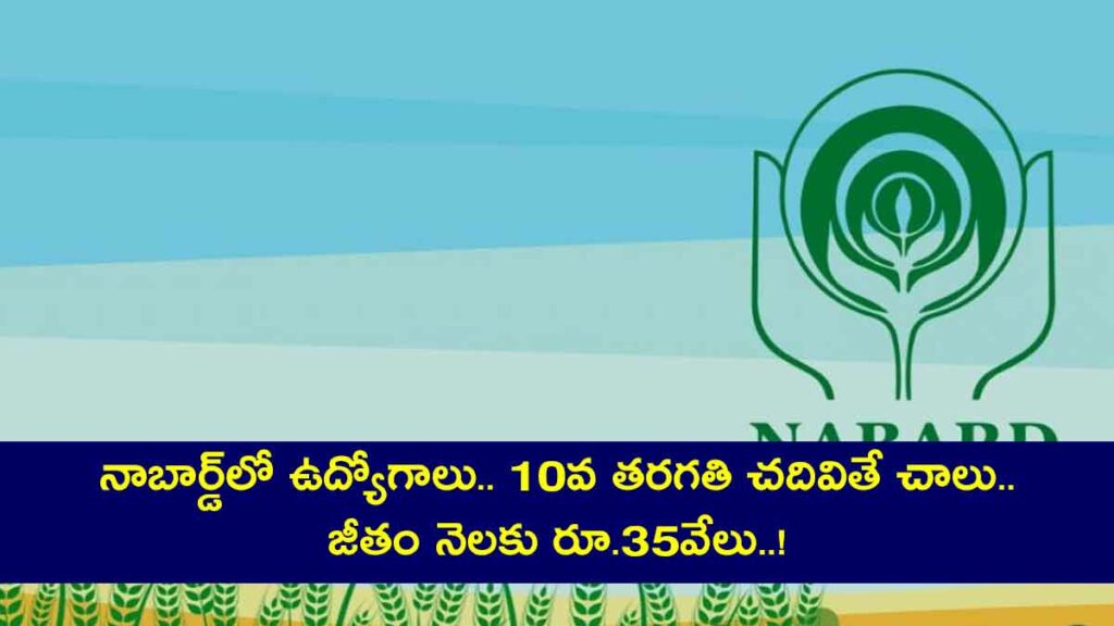 nabard group c office attendant jobs 