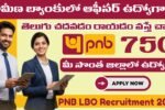 Punjab National Bank Recruitment 2025